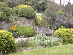 Standen garden picture