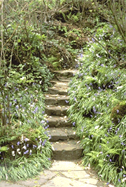 Standen garden picture