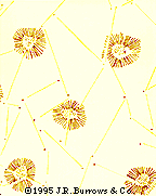 Persis Ceiling Yellow pattern