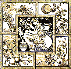 Brown and white tile Women