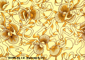 Seashell & Ribbon Design in yellow